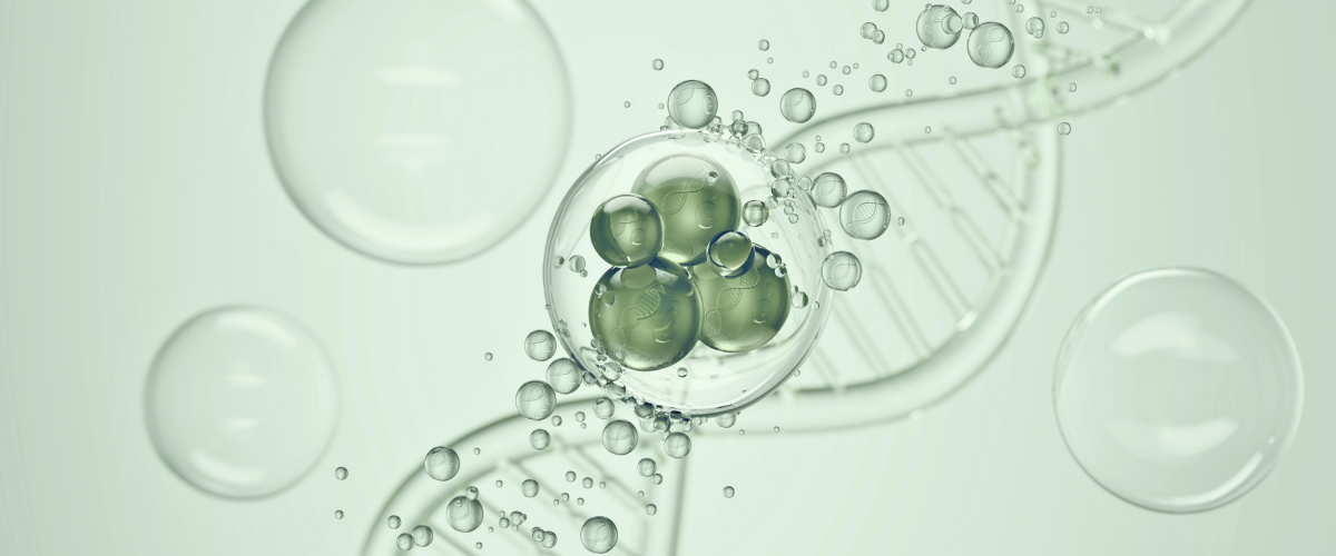 DNA blueprint to vitamin b6
